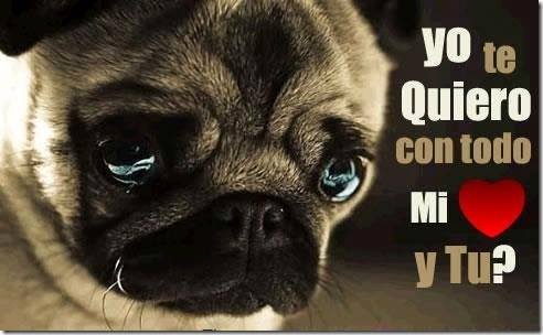 Imagenes lindas nuevas de amor