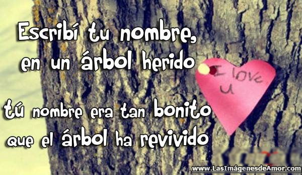 Frases romanticas para dedicar de amor