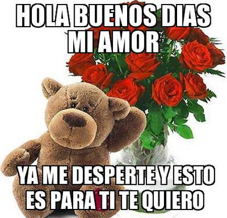 Buenos dias con rosas y peluche