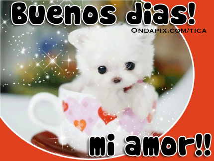 Dedica esto en las mañanas gratis