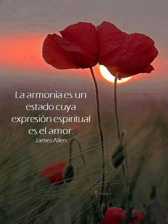 El amor como medio de expresión para Facebook