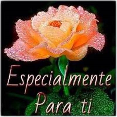 Flor para regalar