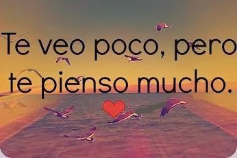 Frases amorosas para enamorados gratis