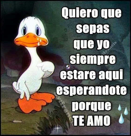 Imagenes Para Enamorar 2016