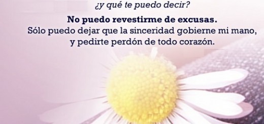 Imágenes para pedir perdón