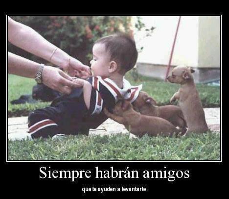 La amistad debe valorarse
