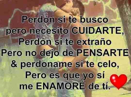Perdón por enamorarme