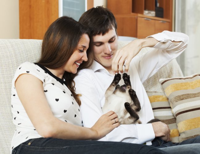 tengamos una mascota juntos para facebook