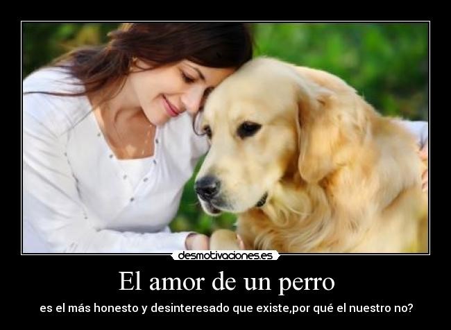 Imágenes de amor por las mascotas gratis