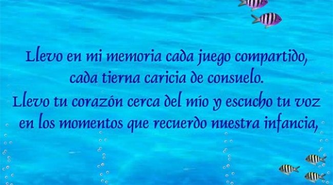 Imágenes de duelo gratis