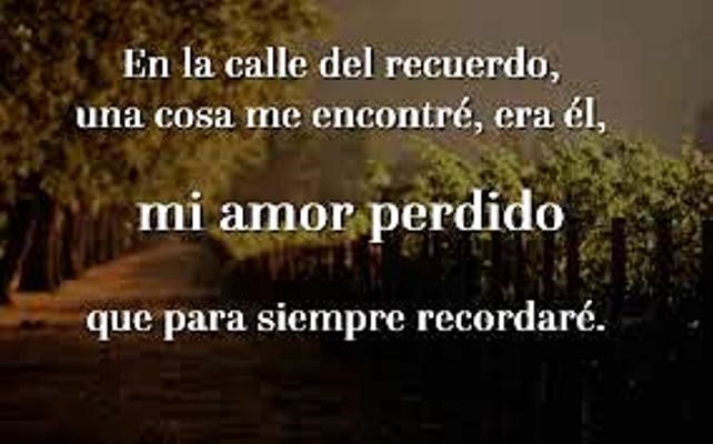 Mi amor perdido