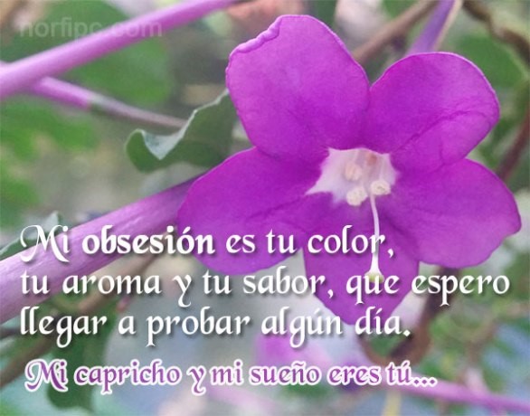 Mi obsesión es tu color