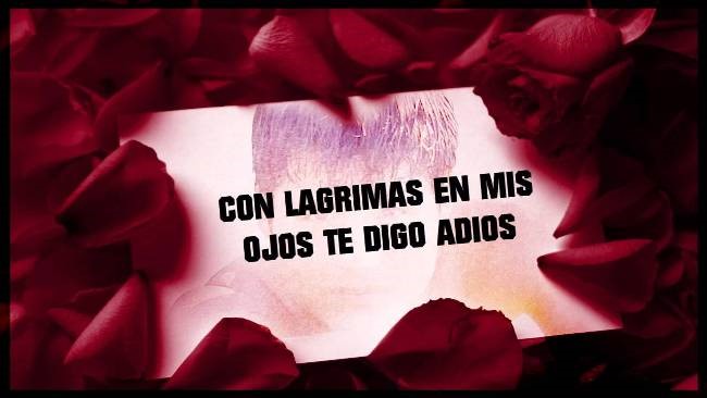 Tu amor aún sigue en mí
