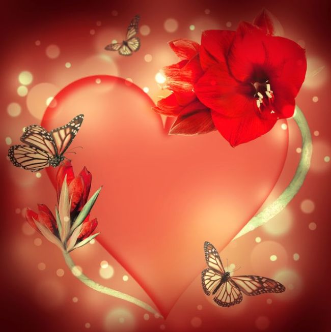 con amor todo
