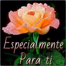especialmente para ti