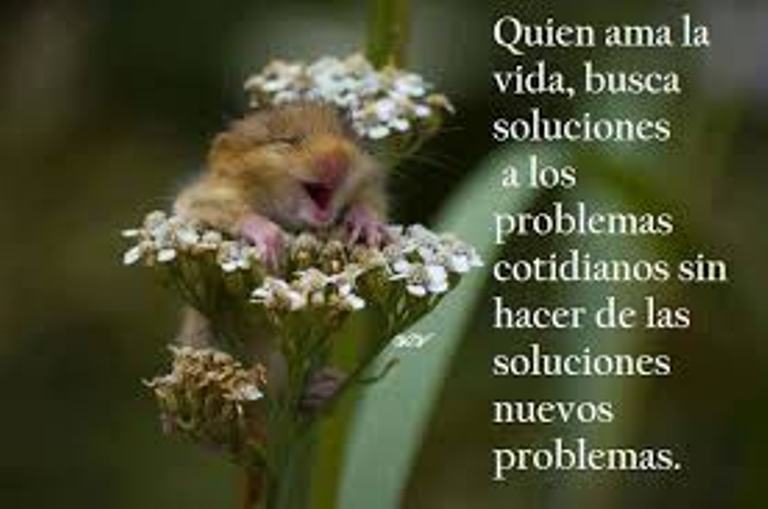 la vida gratis para Facebook