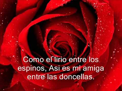 un amigo gratis