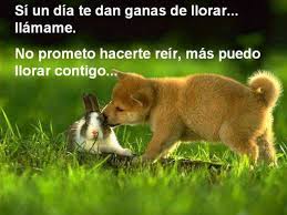 un amigo gratis2