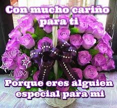 una flor me lleva a ti para Facebook2