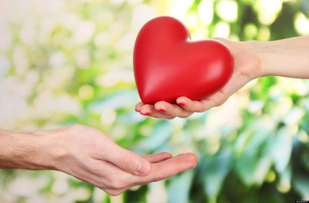 Amor, el idioma del corazón gratis 2