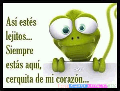 Asi estes lejos siempre estas cerquita de mi corazon