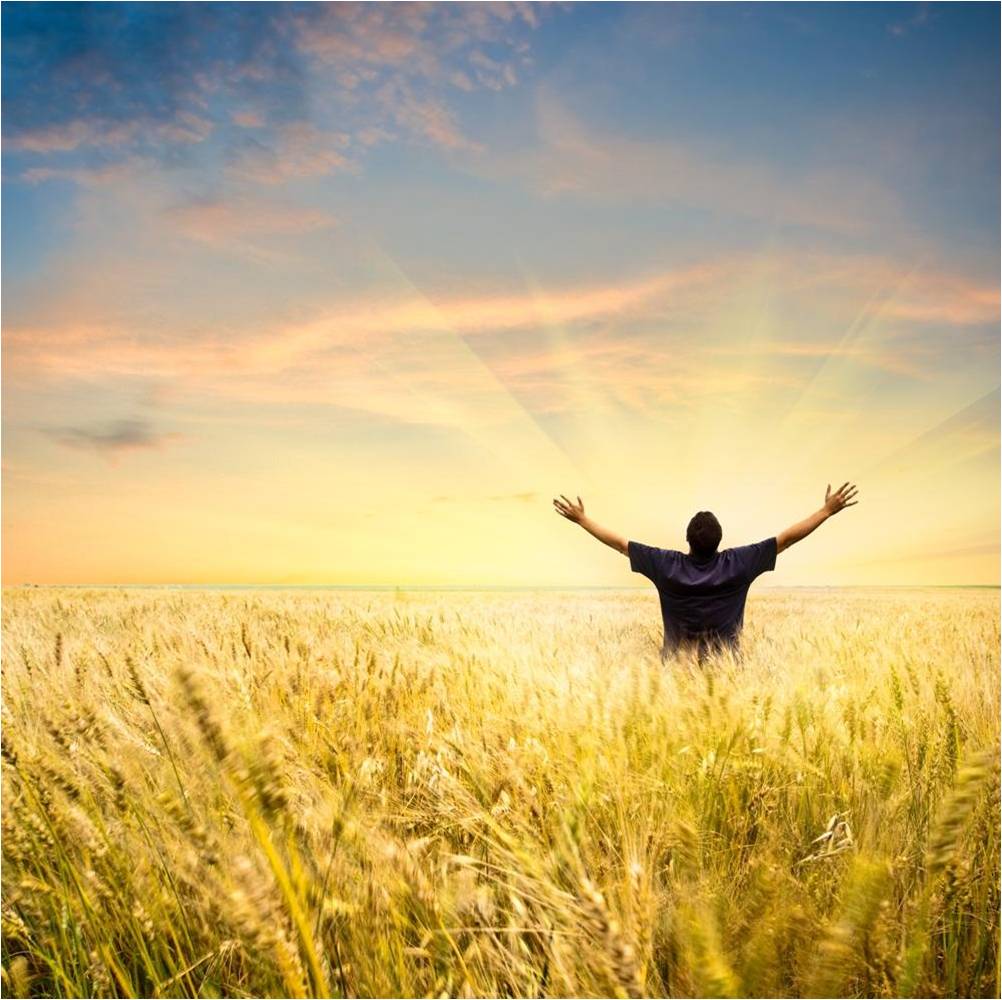 Buscando la felicidad gratis 2
