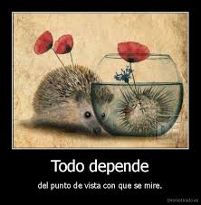 Imágenes de amor y sus diferentes puntos de vista gratis2
