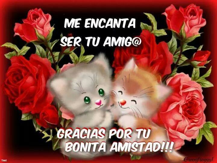 Imágenes para los amigos gratis