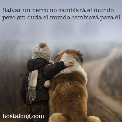 Imágenes para mascotas