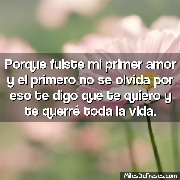 Porque fuiste mi primer amor y el primero no se olvida, por eso te digo que te quiero y te querre toda la vida
