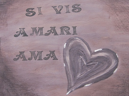 Si vis amari ama