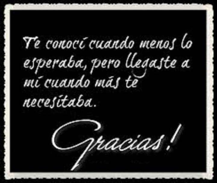 hasta que te conocí gratis