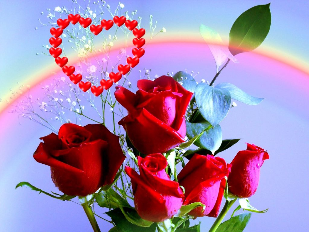 Red Roses