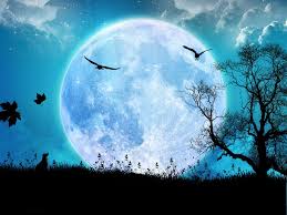 noche de luna llena gratis 2