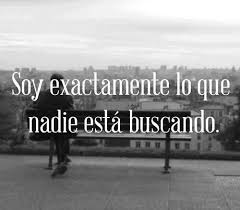 soy exactamente lo que nadie está buscando