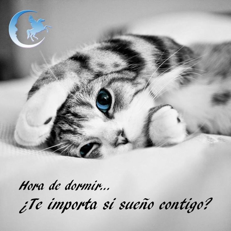 soñar contigo