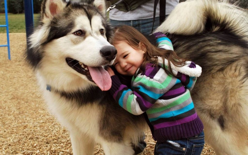 Imágenes de amistad con mascotas  para Facebook