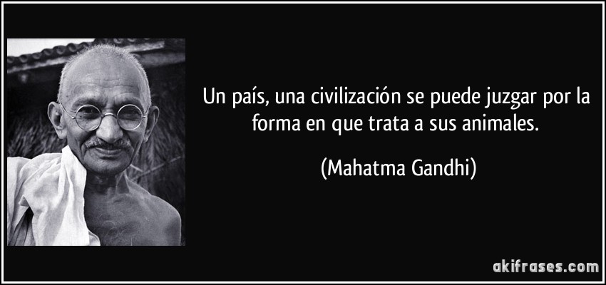 Imágenes de amor a los animales gratis 2