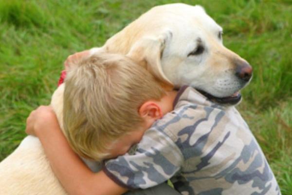 Imágenes de amor a tu mascota gratis