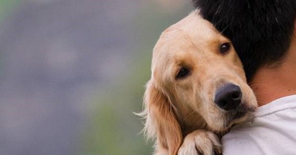 Imágenes de amor a tu mascota para Facebook 2