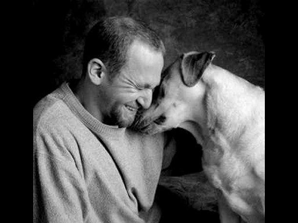 Imágenes de amor a tu mascota para Facebook