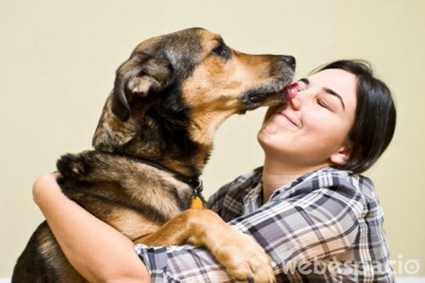 Imágenes de cariño con mascotas gratis 2
