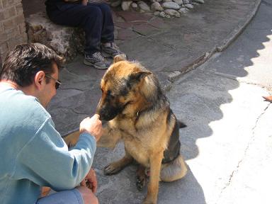 Imágenes de cariño con mascotas gratis