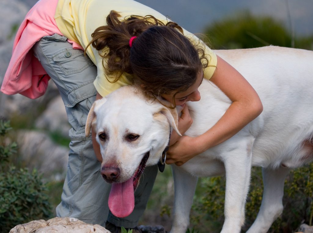 Imágenes de cariño con mascotas para Facebook 2