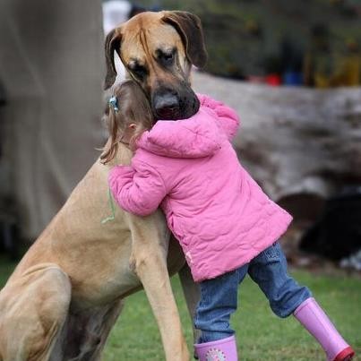 Imágenes de cariño con mascotas