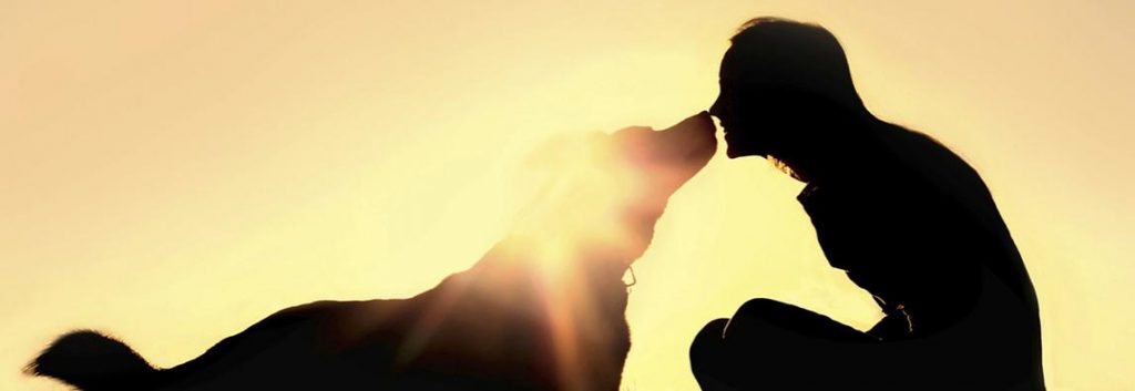 Imágenes de mascotas para desear un feliz día de la amistad gratis