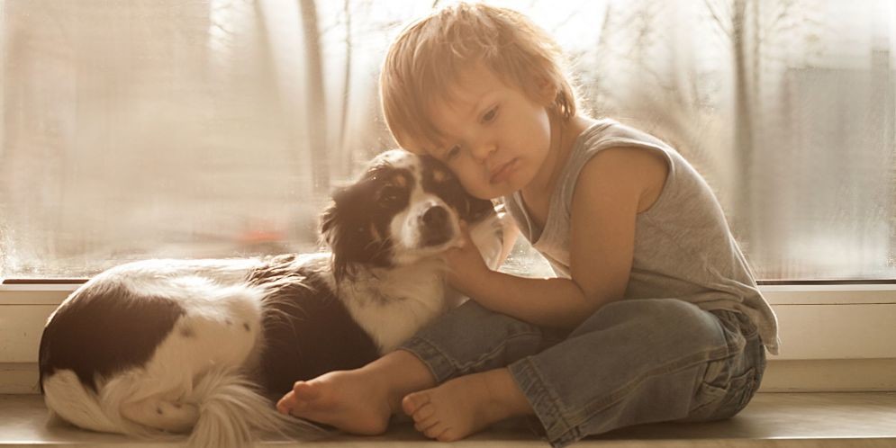 Imágenes de mascotas para desear un feliz día de la amistad gratis 2