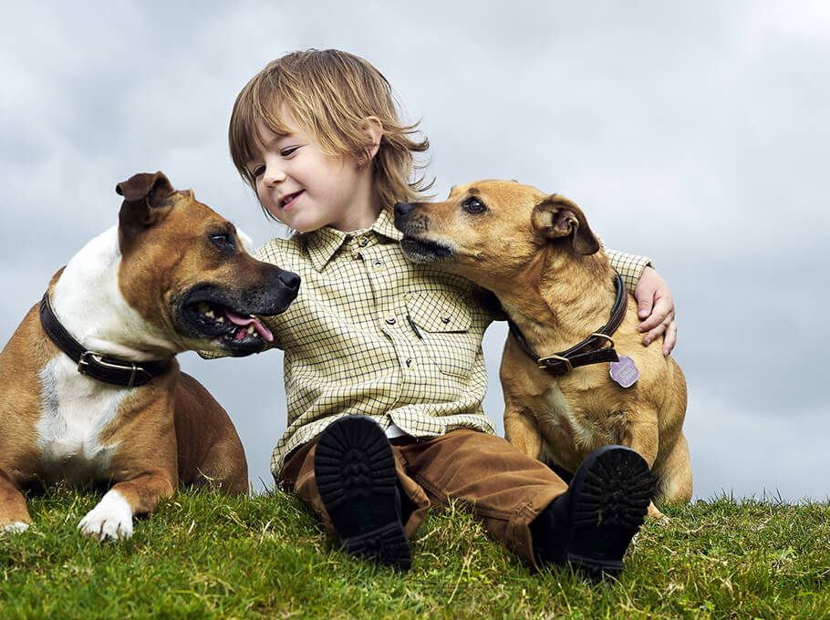 Imágenes de mascotas para desear un feliz día de la amistad para Facebook 2