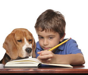 Imágenes de mascotas para desear un feliz día de la amistad para Facebook