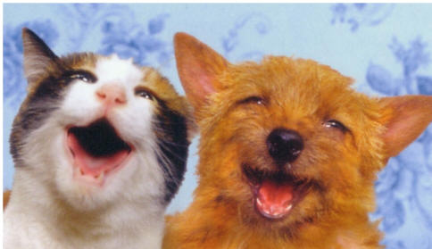 Imágenes de mascotas para una mejor amiga